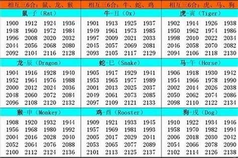 2002 属什么|2002年出生的属什么,2002年是什么生肖